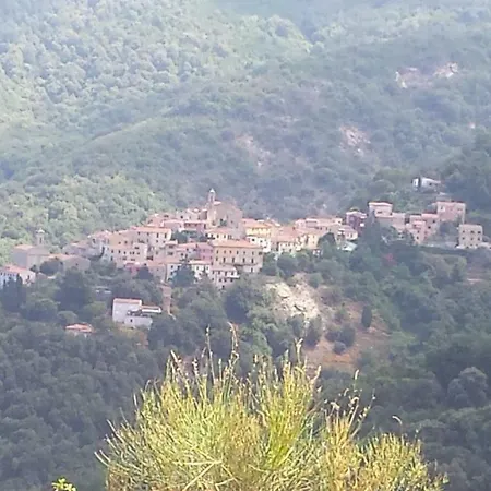 Apartment La Casalina Dell'elba